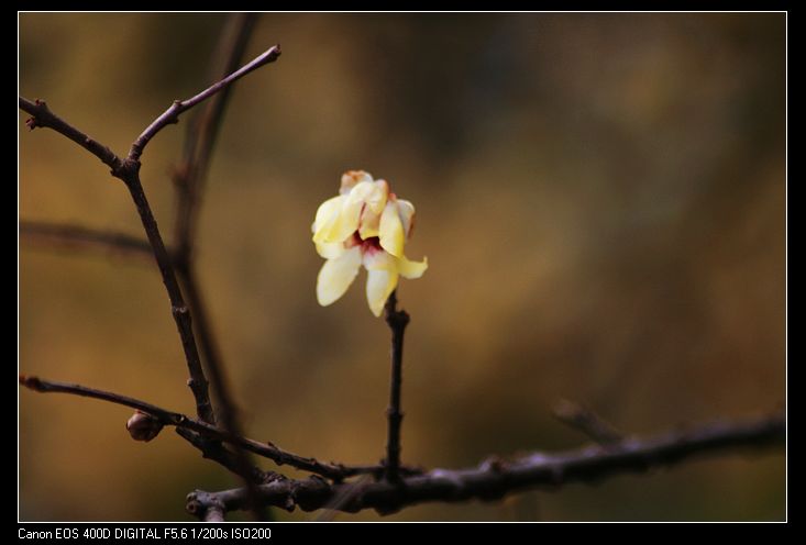nEO_IMG_照片 040A.jpg