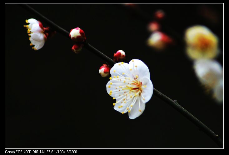 nEO_IMG_照片 011A.jpg