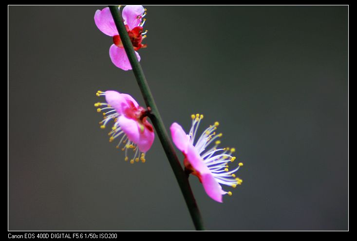 nEO_IMG_照片 014A.jpg