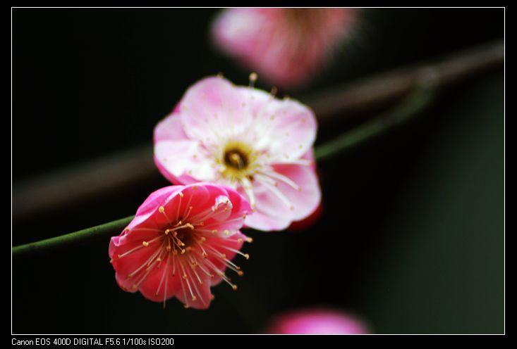 nEO_IMG_照片 026A.jpg