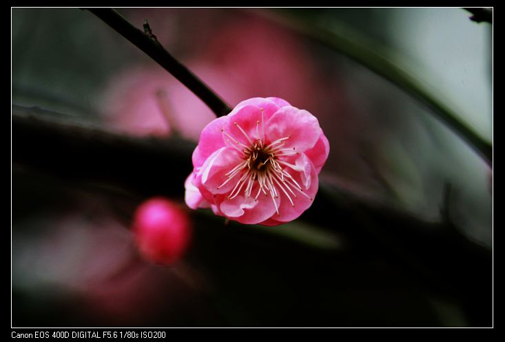 nEO_IMG_照片 029A.jpg