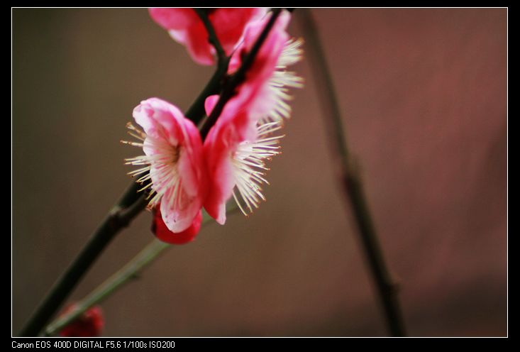 nEO_IMG_照片 036A.jpg