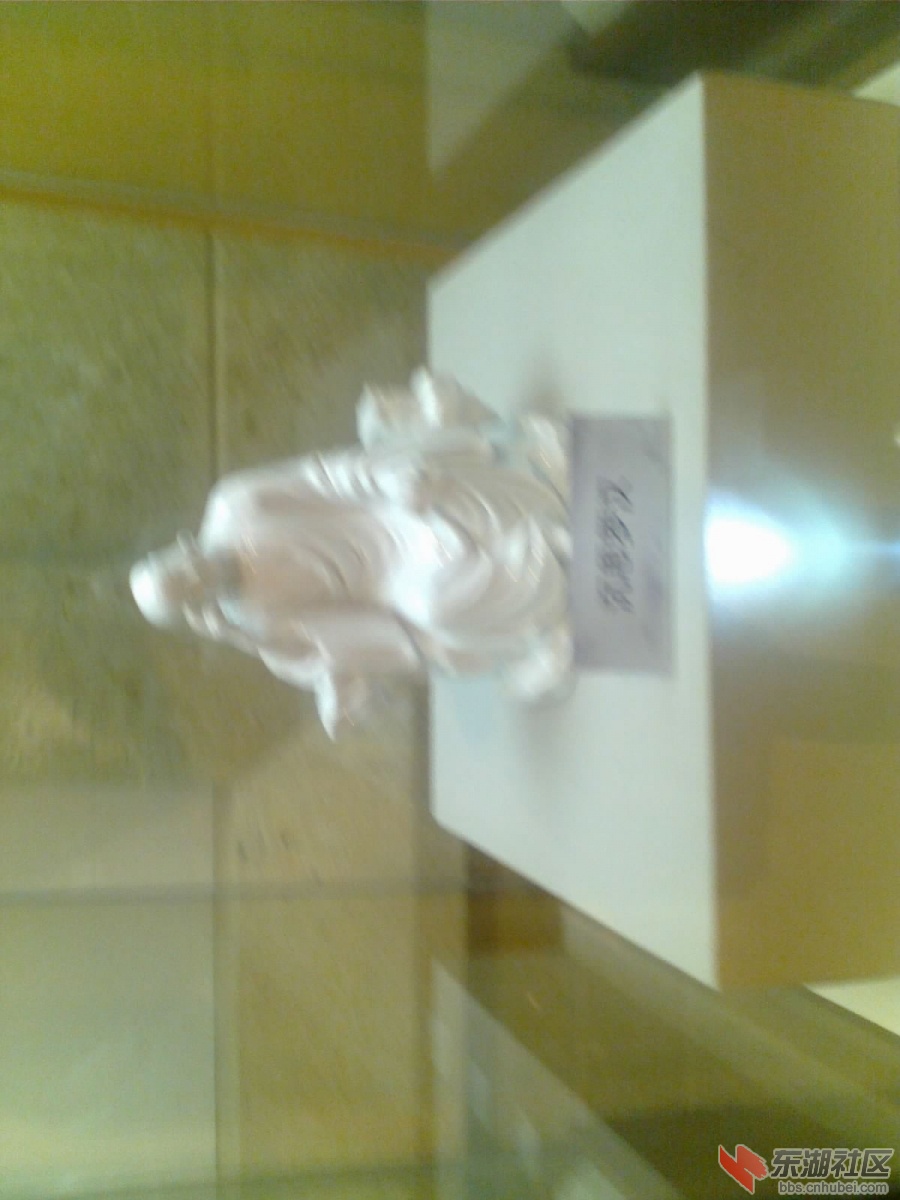 20130215078.jpg