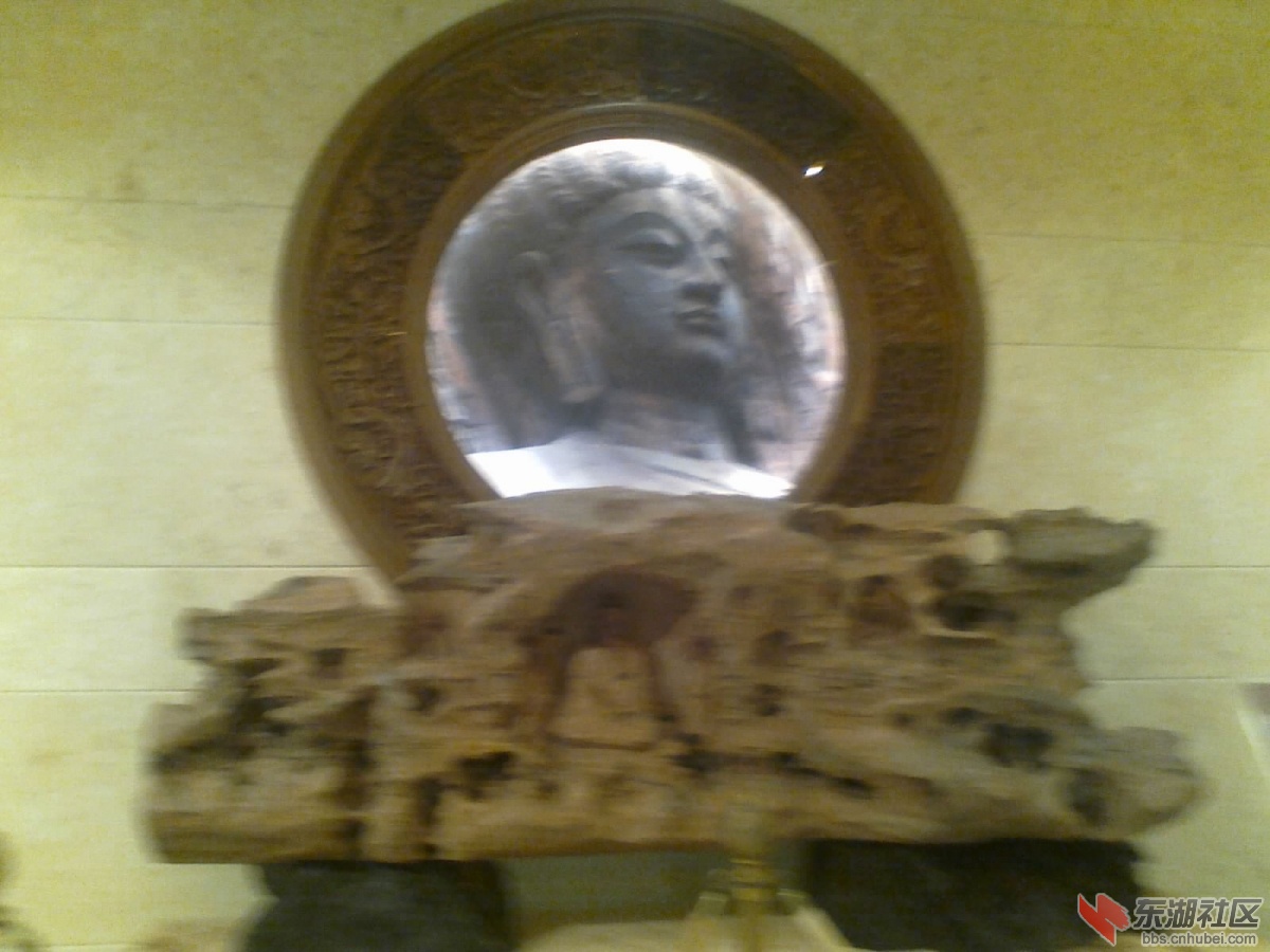 20130215082.jpg