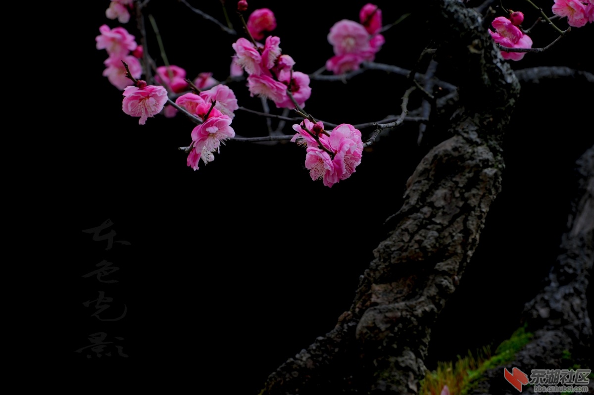 DSC_1483.jpg