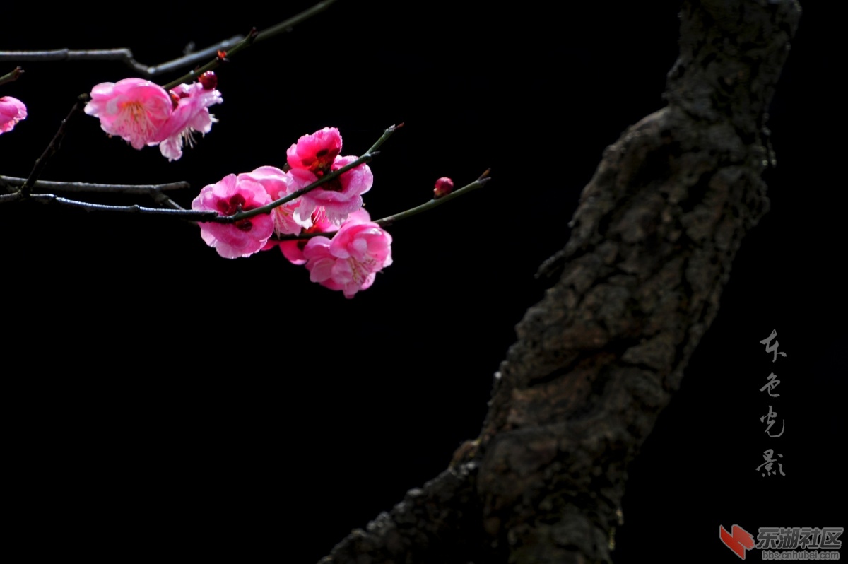 DSC_1469.jpg
