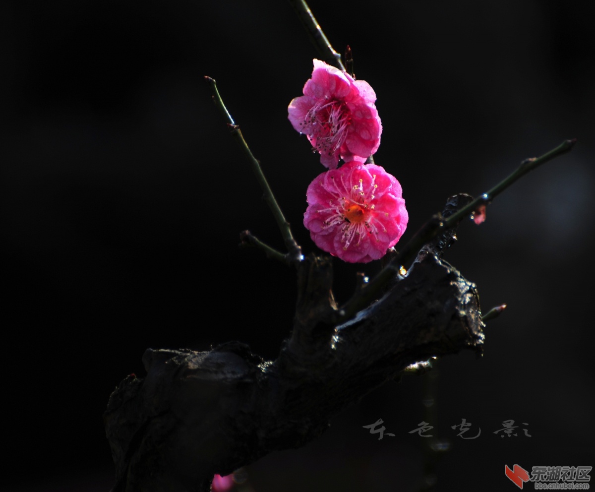 DSC_1544.jpg