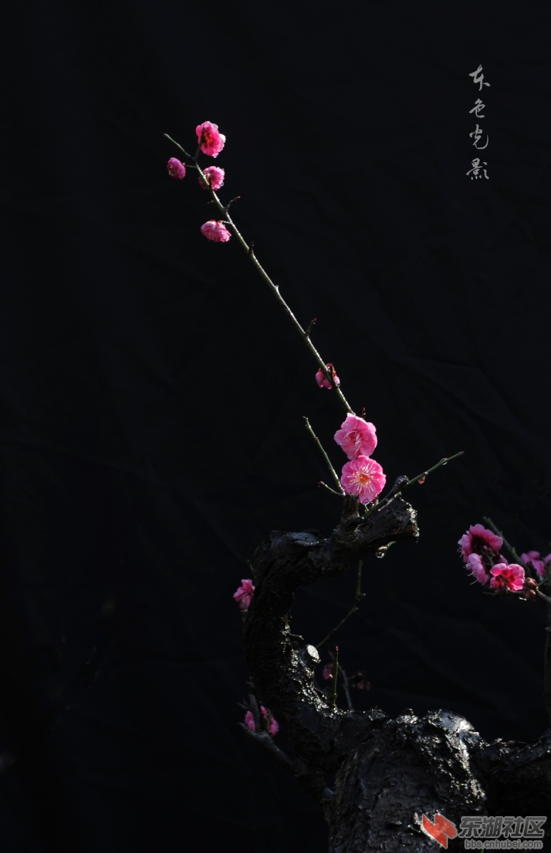 DSC_1549.jpg