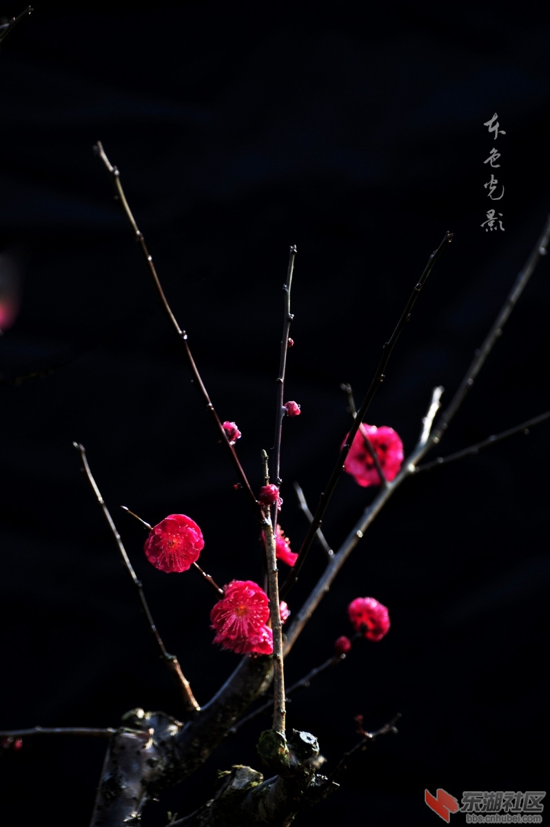 DSC_1553.jpg