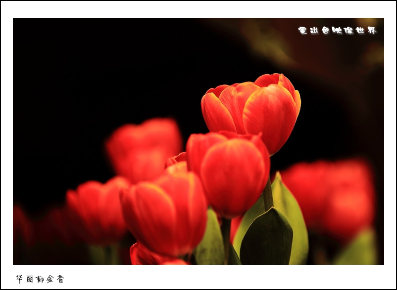 IMG_2305_副本_conew1.jpg