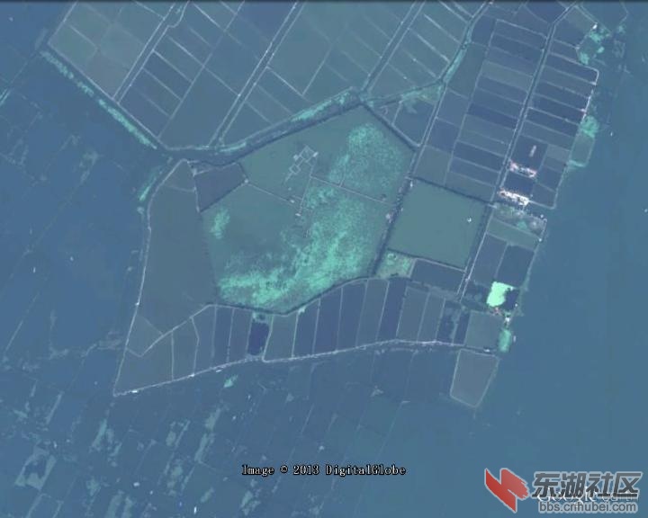 茶坛岛1.jpg