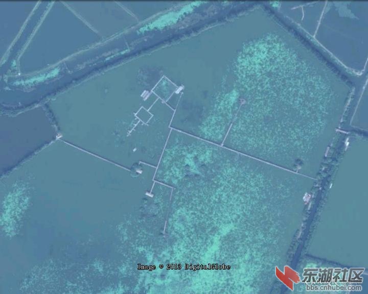 茶坛岛2.jpg