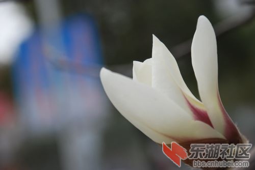 nEO_IMG_DSC_1881.jpg