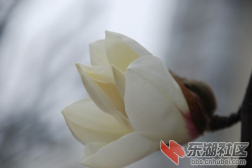 nEO_IMG_DSC_1884.jpg