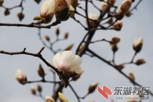 nEO_IMG_DSC_1837.jpg