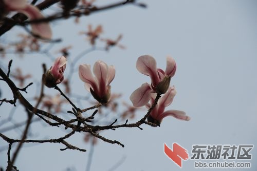 nEO_IMG_DSC_1844.jpg