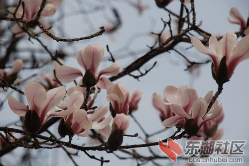 nEO_IMG_DSC_1848.jpg