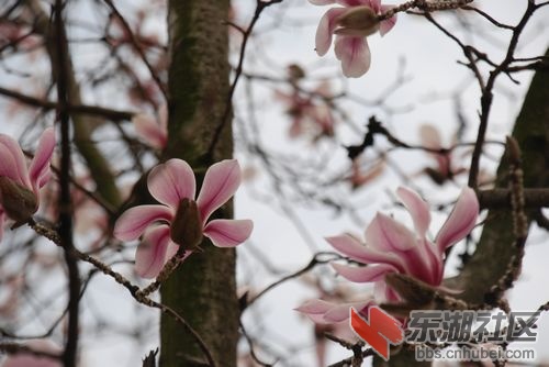 nEO_IMG_DSC_1852.jpg