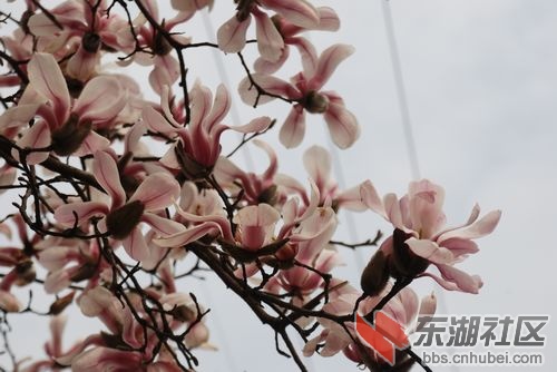 nEO_IMG_DSC_1854.jpg