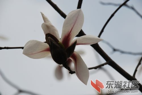 nEO_IMG_DSC_1860.jpg