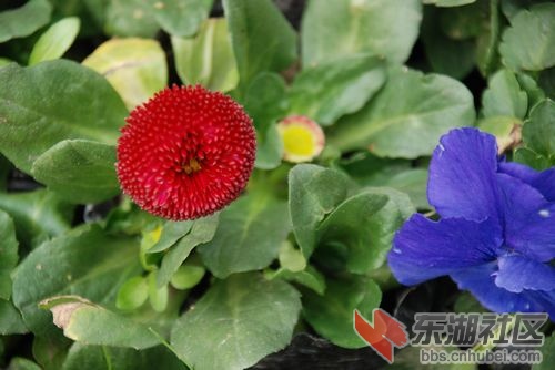 nEO_IMG_DSC_1874.jpg