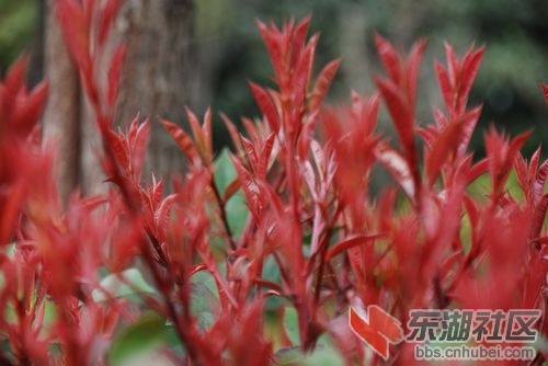 nEO_IMG_DSC_1931.jpg