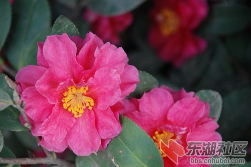nEO_IMG_DSC_1980.jpg