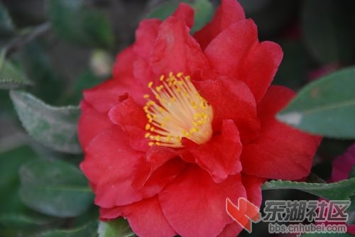 nEO_IMG_DSC_1981.jpg