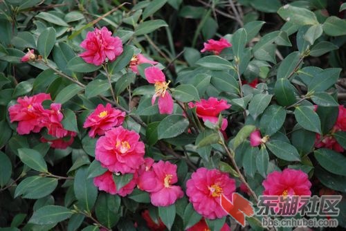 nEO_IMG_DSC_1983.jpg