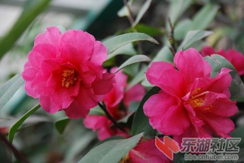 nEO_IMG_DSC_1986.jpg