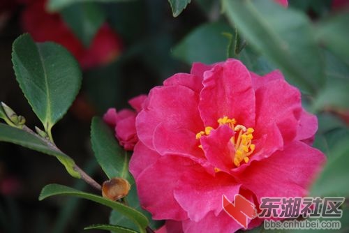 nEO_IMG_DSC_1997.jpg
