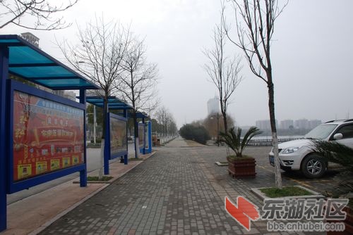 nEO_IMG_DSC_1909.jpg