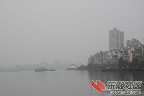 nEO_IMG_DSC_1921.jpg