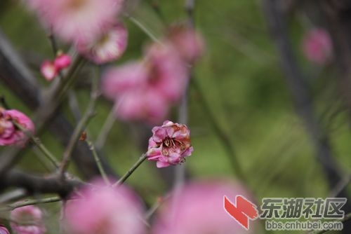 nEO_IMG_DSC_1932.jpg