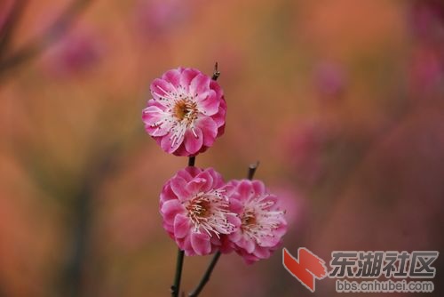 nEO_IMG_DSC_1940.jpg
