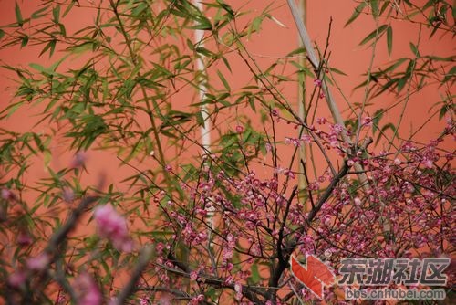 nEO_IMG_DSC_1955.jpg