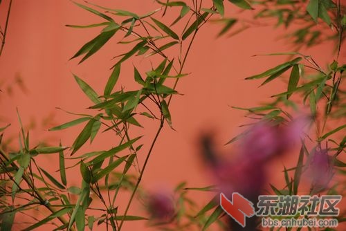 nEO_IMG_DSC_1961.jpg