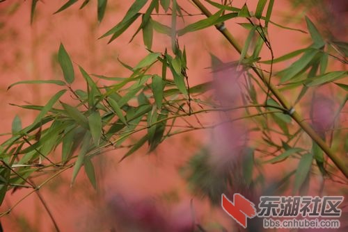 nEO_IMG_DSC_1962.jpg