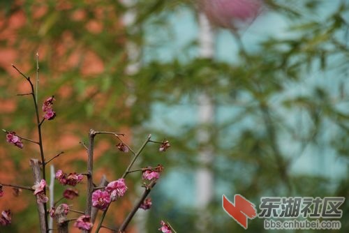 nEO_IMG_DSC_1978.jpg