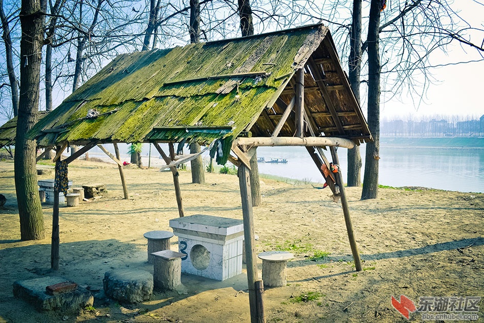 _DSC0104.jpg