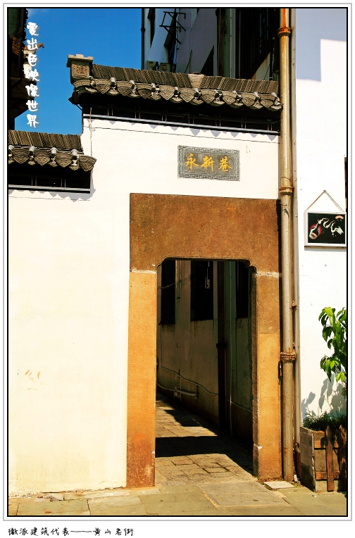 IMG_9376_副本_conew1.jpg