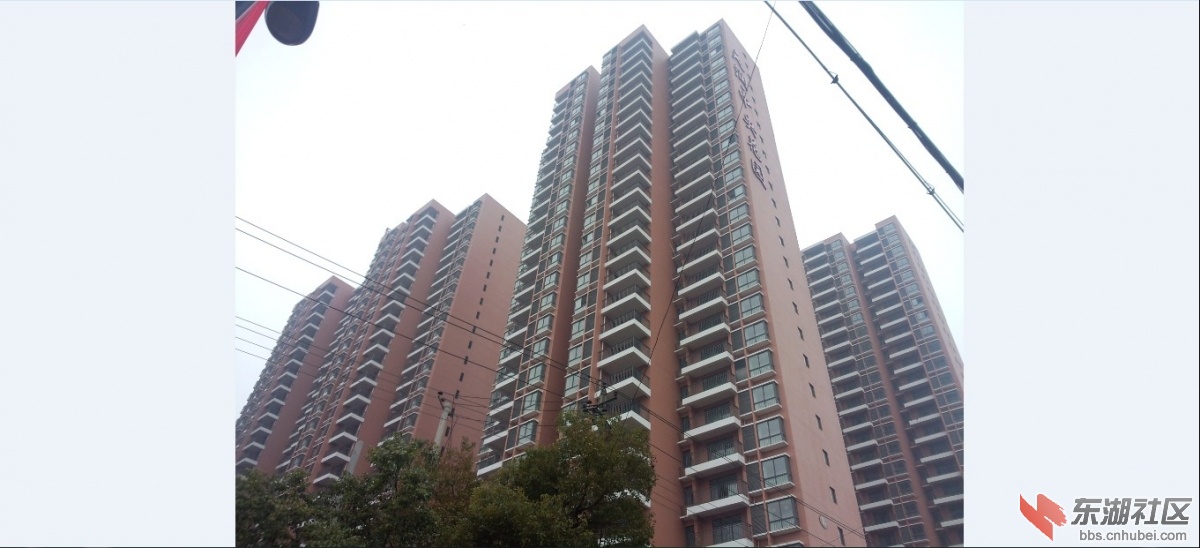 QQ截图20130301235002.jpg