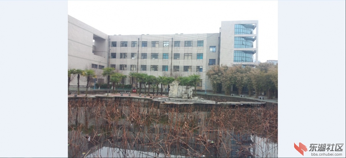 QQ截图20130301235038.jpg