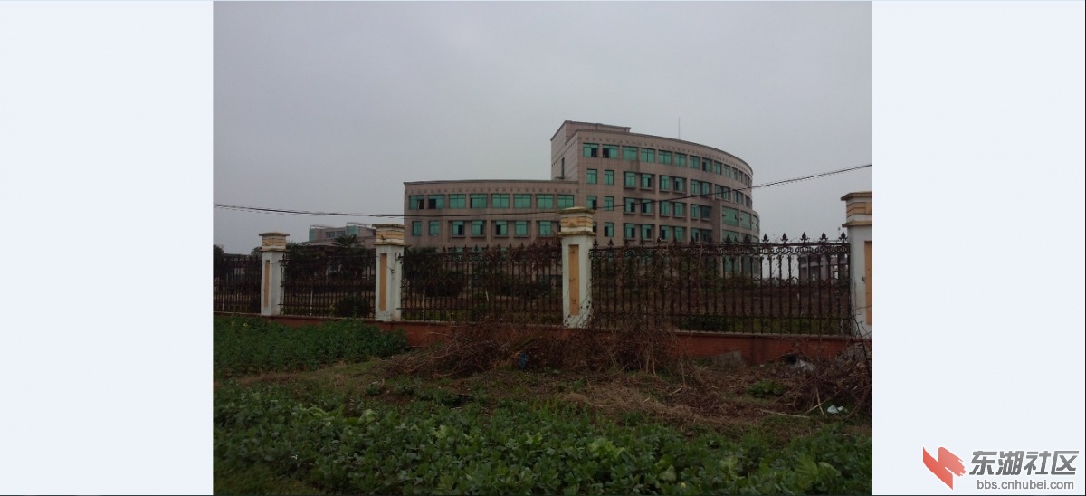 QQ截图20130301235140.jpg
