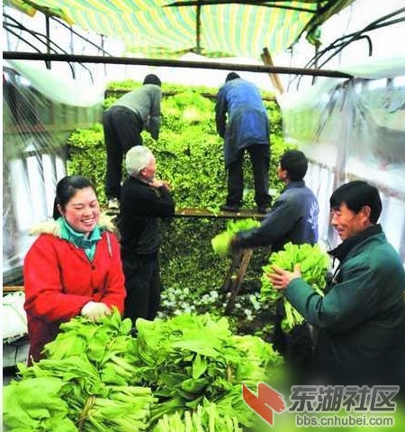 未命名_副本.jpg