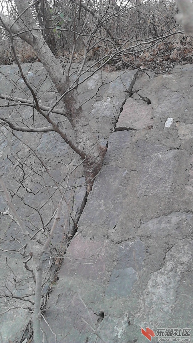 2013-03-02_15-56-39_192958_org.jpg