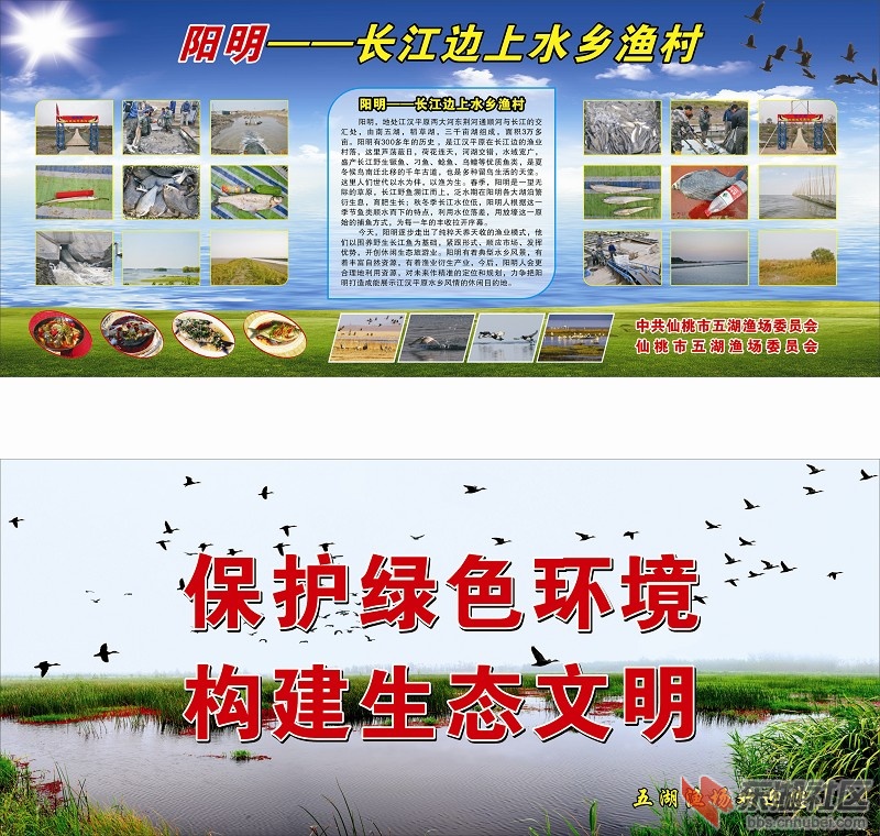 五湖外滩宣传栏