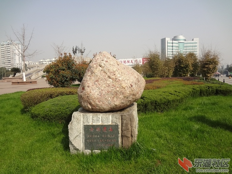 DSC00806.jpg