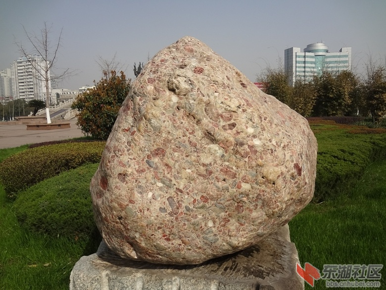 DSC00808.jpg