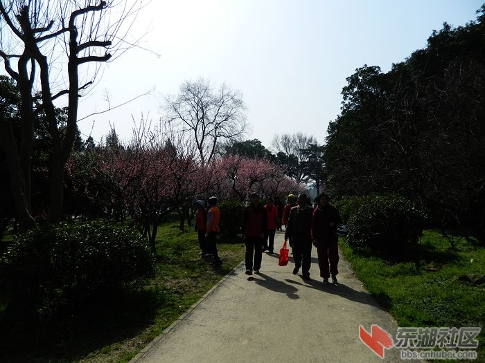 照片 024.jpg